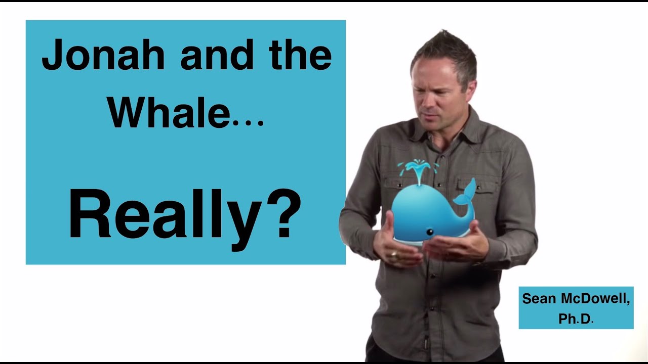 What Type Of Fish Swallowed Jonah