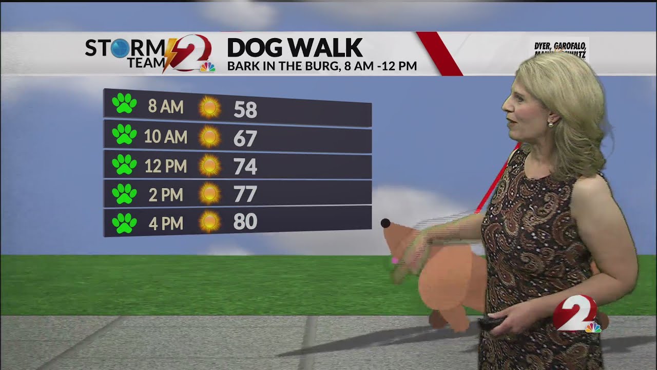 Today's Miami Valley Forecast - YouTube