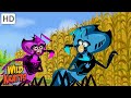 Ant Colony Adventure Quiz