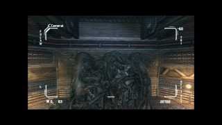 AVP 2010 GLITCH LAG.wmv