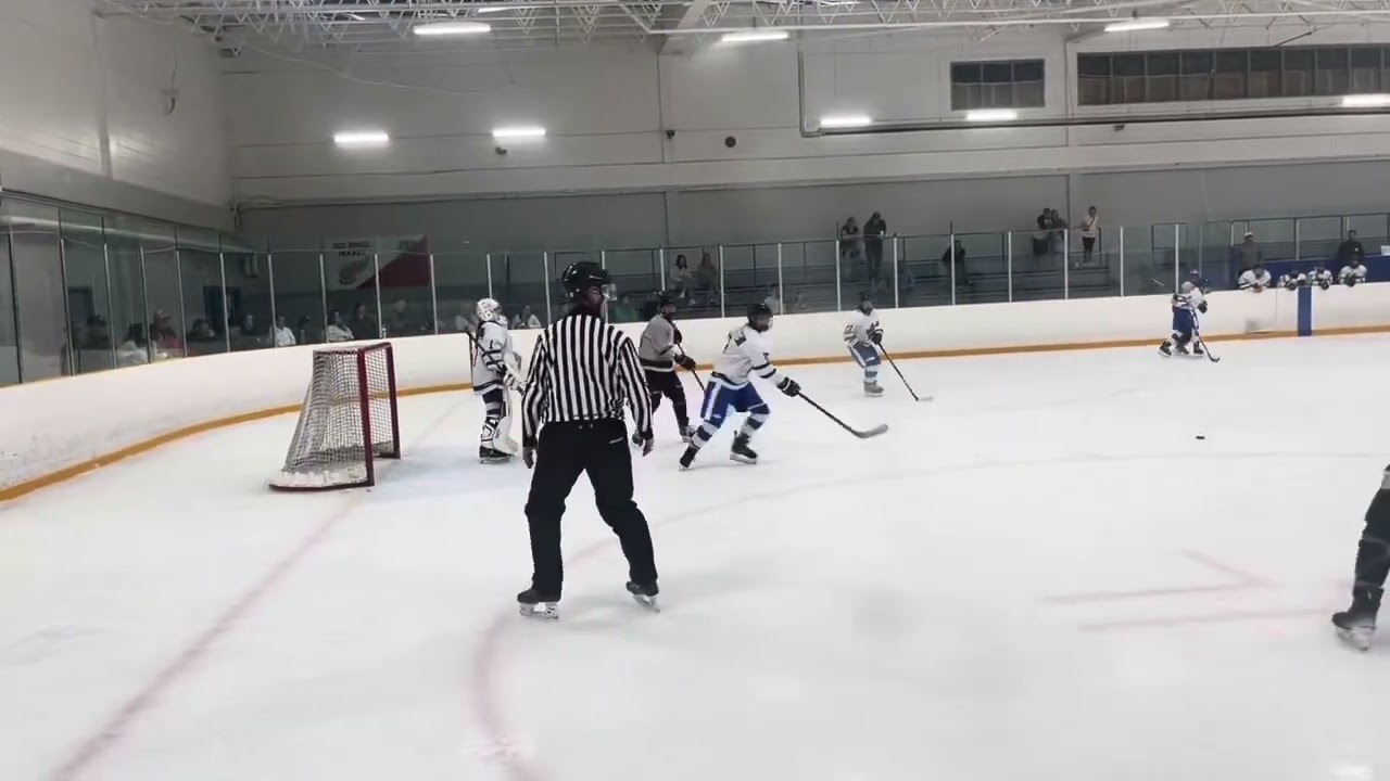 Ponytail Challenge Film - Pro Hockey Development