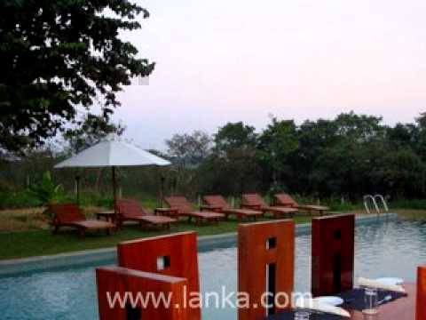 Kalu's Hideaway, Udawalawe, Sri Lanka