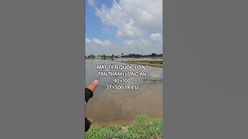 mặt tiền quốc lộ n2 tân Thạnh Long An 40×100 giá 3tỷ500 triệu LH 0854645939