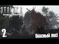 S.T.A.L.K.E.R. Контракт на хорошую жизнь #2 — Опасный лес!