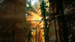Название трека: BIRGIT - Маяки#музыка#песни#треки#рекомендации#1000like