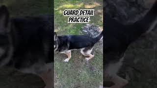 Guard detail practice