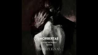 Norbertas - Tavęs netenku (IGN0RVNT remix)