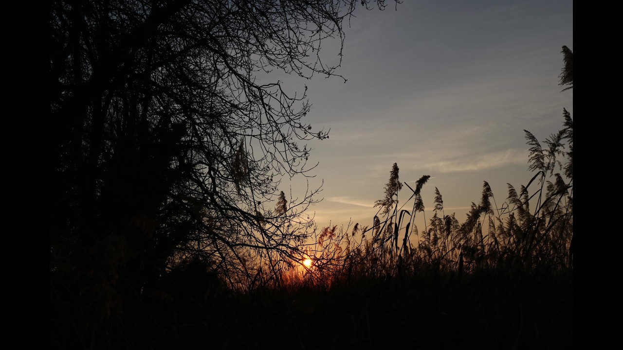 Halage Hiver (Diaporama Horizontal 411/480)