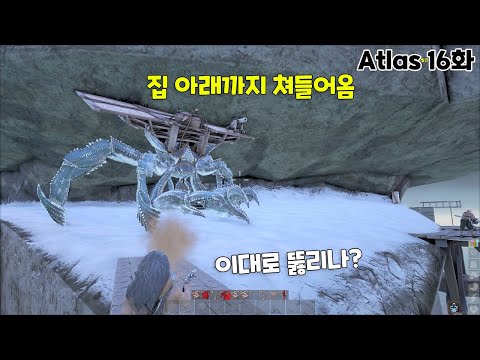꽃게를 죽이는 방법은...?