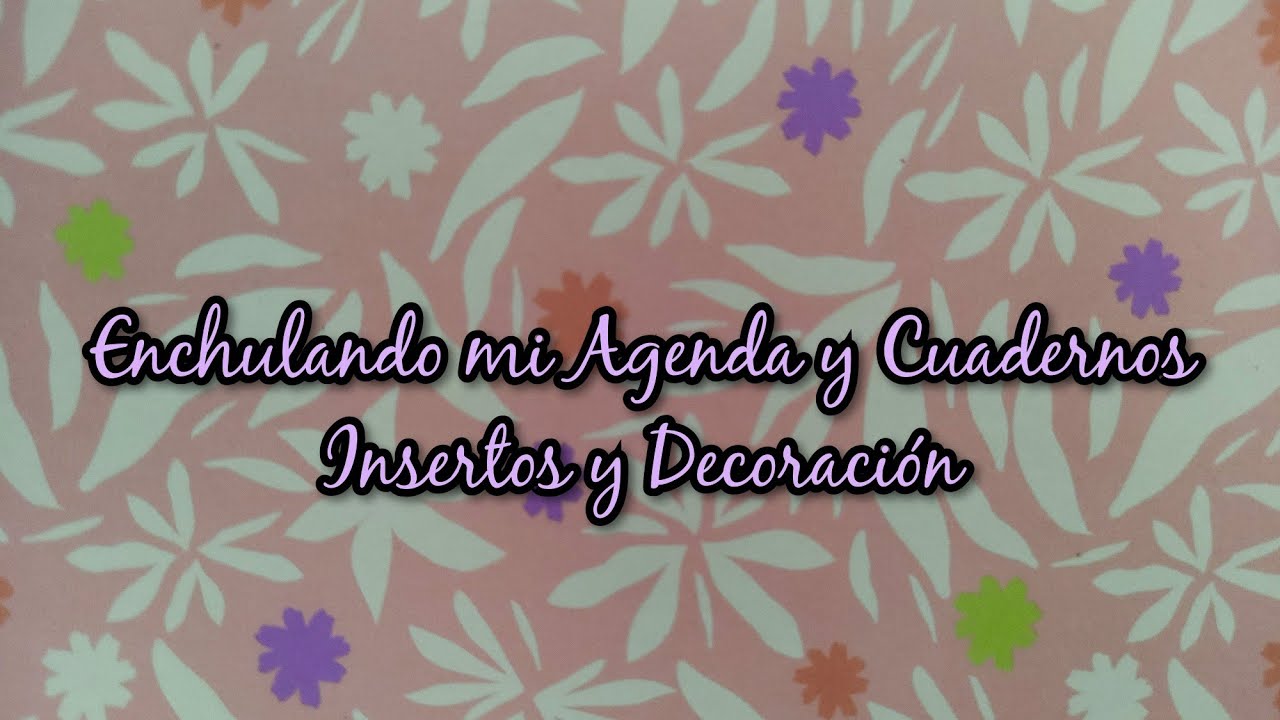 📚 Enchulando mi Agenda y Cuadernos/Insertos y Nuevas Secciones 