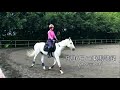 9月6日の乗馬といろいろ　enjoy horse riding