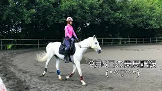 9月6日の乗馬といろいろ　enjoy horse riding