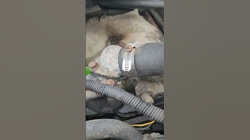 Auto restoration 92 Camaro changing a 11 year old unused thermostat housing And thermostat