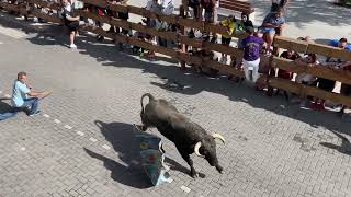 Primer encierro. Humanes de Madrid. 20/09/2025
