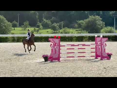The Brave 55 CSIYH 7 yo Le Pin du Haras