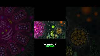 The Spark Of Life A Miracle Of Evolution