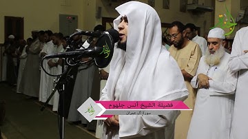 أيات من سورة ال عمران 2018 بصوت  هتكرره كثير جدا  من حلاوتة  , الشيخ أنس جلهوم