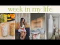 WEEKLY VLOG: Tulum Vibes in AUSTIN, IKEA Hovet Mirror Comparison &amp; Taxes As An Influencer