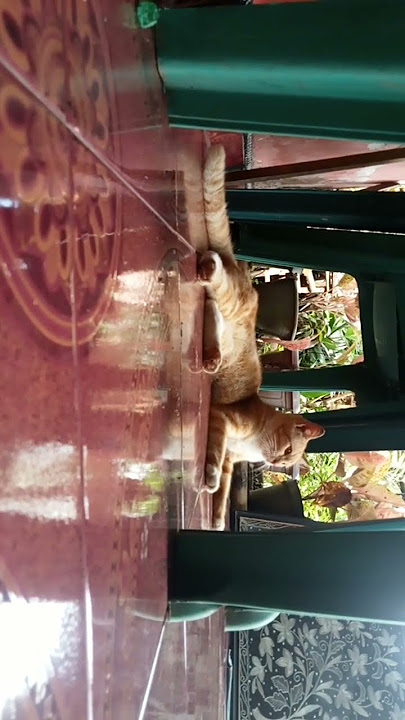 woi lagi santai kawan
