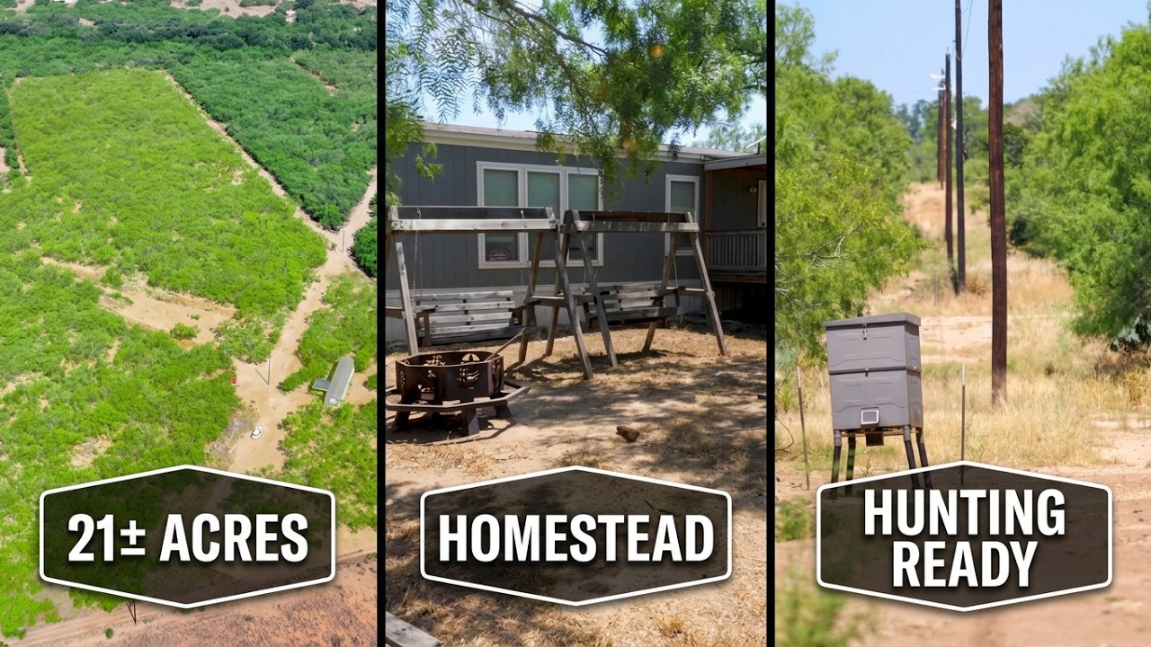 Video tour of Sand Branch Homestead