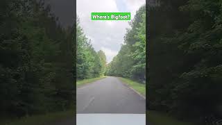 Searching for Sasquatch!