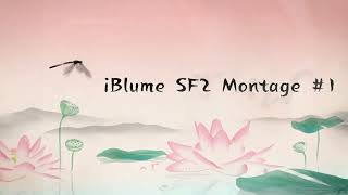 Skill SF2 - iBlume Montage 1#
