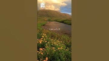 الآيات {1-8} من سورة العلق القارئ سعد الغامدي  #القران
