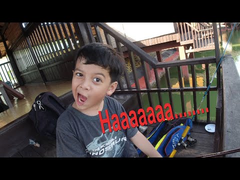 mancing-strike-ikan-patin-jumbo-bikin-kaget..