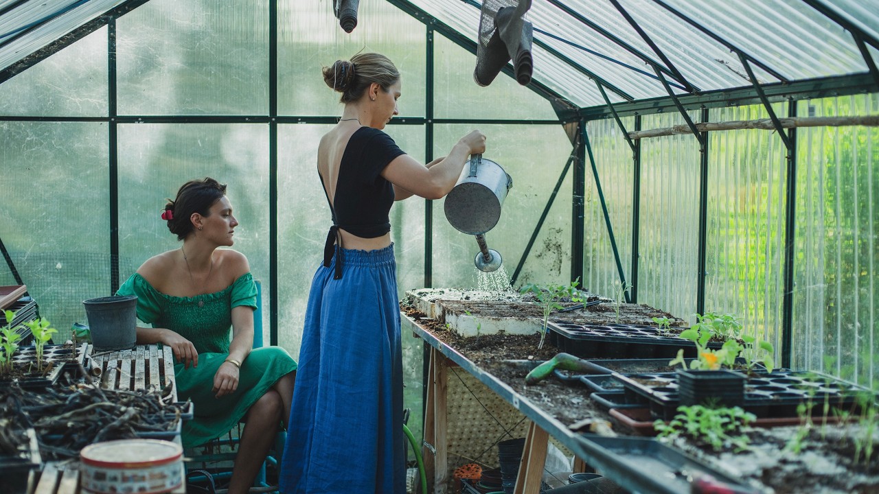We are two sisters living ALONE in the countryside growing our own food – This is our story