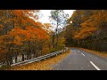 Downhill Driving: Wada Toge (Wada Pass) Nagano - Autumn Leaves [4K] JAPAN ASMR No Talking (POV)