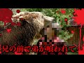 【閲覧注意】4人がクマに喰われた！？石狩沼田幌新事件