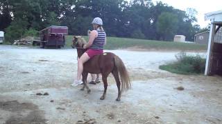 M4H00595.MP4