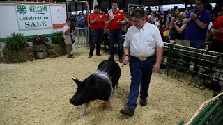 WATCH NOW: 300pound pig fetches a record $340/lb at the Porter County Fair 4H livestock auction.
