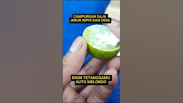 Ternyata ini manfaat jeruk nipis ⁉️#idekreatif #tutorial