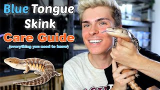 Blue Tongue Skink Care Guide! (EVERYTHING you need to know)