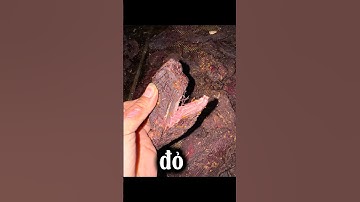 Hướng dẫn làm thịt gác bếp chuẩn vị tây bắc #dungdilao #food #kiemtien #traukho #traugacbep