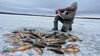 НАЛОВИЛ КРУПНЯКА НА БАЛАНСИР И РАСТАВИЛ ЖЕРЛИЦЫ НА ПЕРВОМ ЛЬДУ! Рыбалка на самом первом льду.