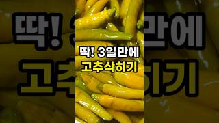 3일만에 완성되는 삭힌고추만드는방법