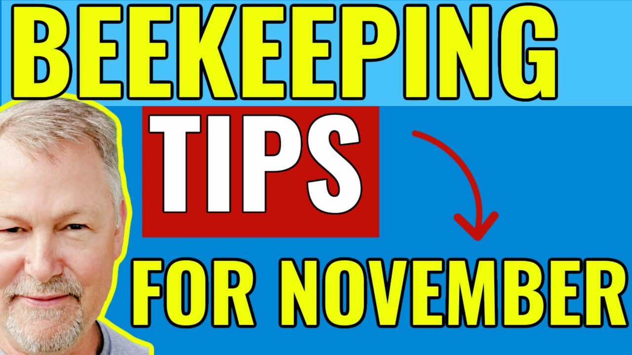 Beekeeping | How To Feed & Manage Your Bees In The Fall