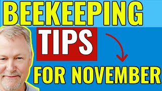 Beekeeping | How To Feed & Manage Your Bees In The Fall