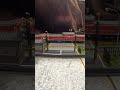 Hoscale 第二種複線踏切 KATO新旧D51重連 DD51重連 【大阪ジェイモデリング】【GoPro】【ショート】 part 2 013