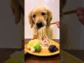 Funny photo shoot One-click with same style Affects is fun Video  please do not imitate at home