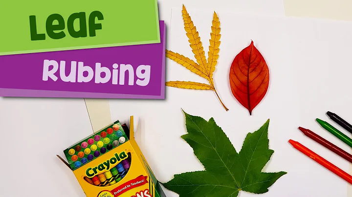 Leaf Rubbings Activity from Evan-Moor's Skill Sharpeners: Science