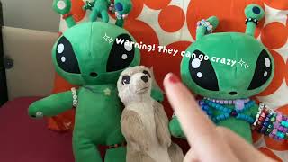 How to take care of ur IKEA Alien part 2. (Rlly short) 