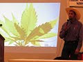 Joshua White of Cannabis Consulting Group