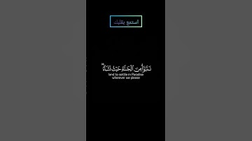 ما تيسر من سورة الزمر بصوت #ياسر_الدوسري #قرآن #قران_كريم