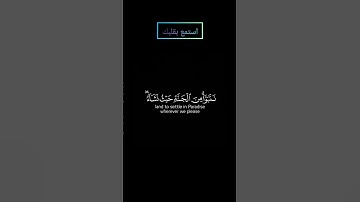 ما تيسر من سورة الزمر بصوت #ياسر_الدوسري #قرآن #قران_كريم