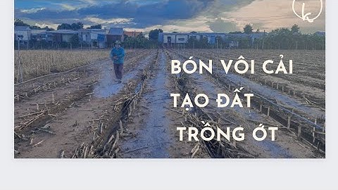BÓN VÔI CẢI TẠO ĐẤT TRỒNG ỚT