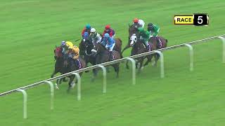 Vidéo de la course PMU PRIX INFANTRY 2017 STAKES