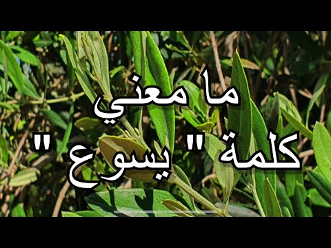 فيديو: ما هي كلمات يسوع الأولى؟